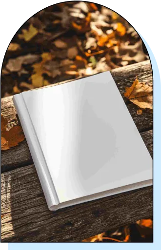 Download Book Mockups with No Watermark