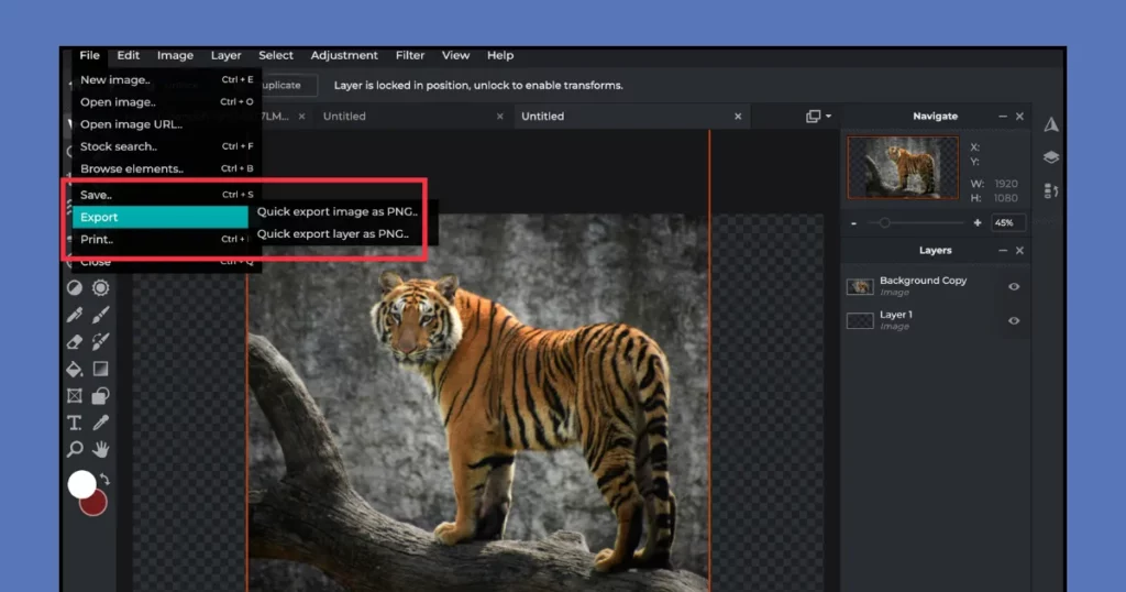 export your customized image on pixlr